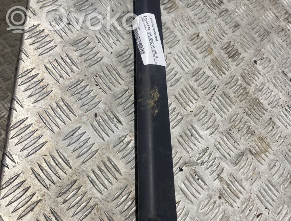 Renault Clio III Rivestimento portiera posteriore (modanatura) 