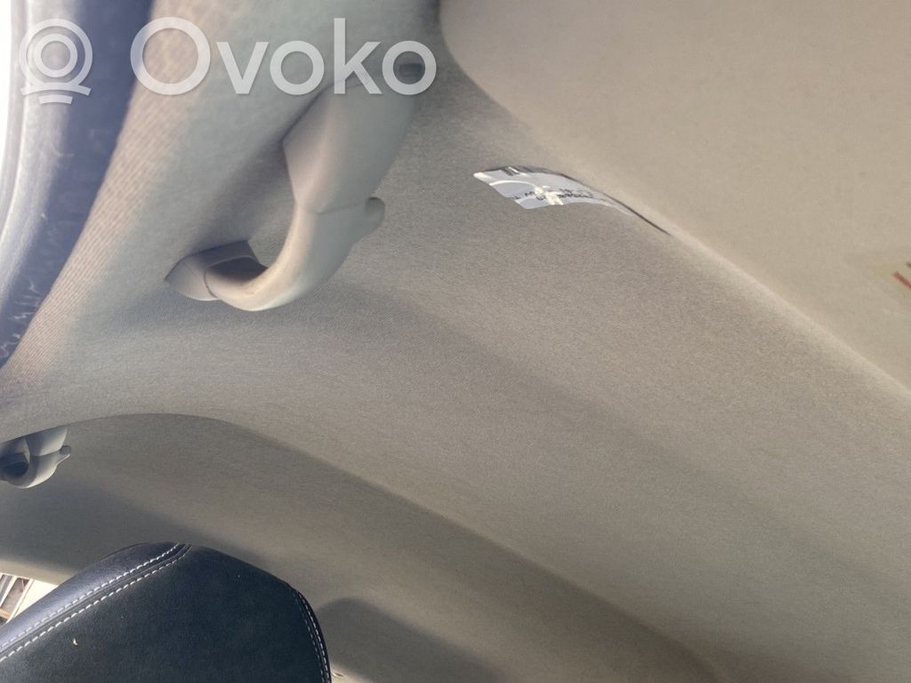 Peugeot 207 Headlining 