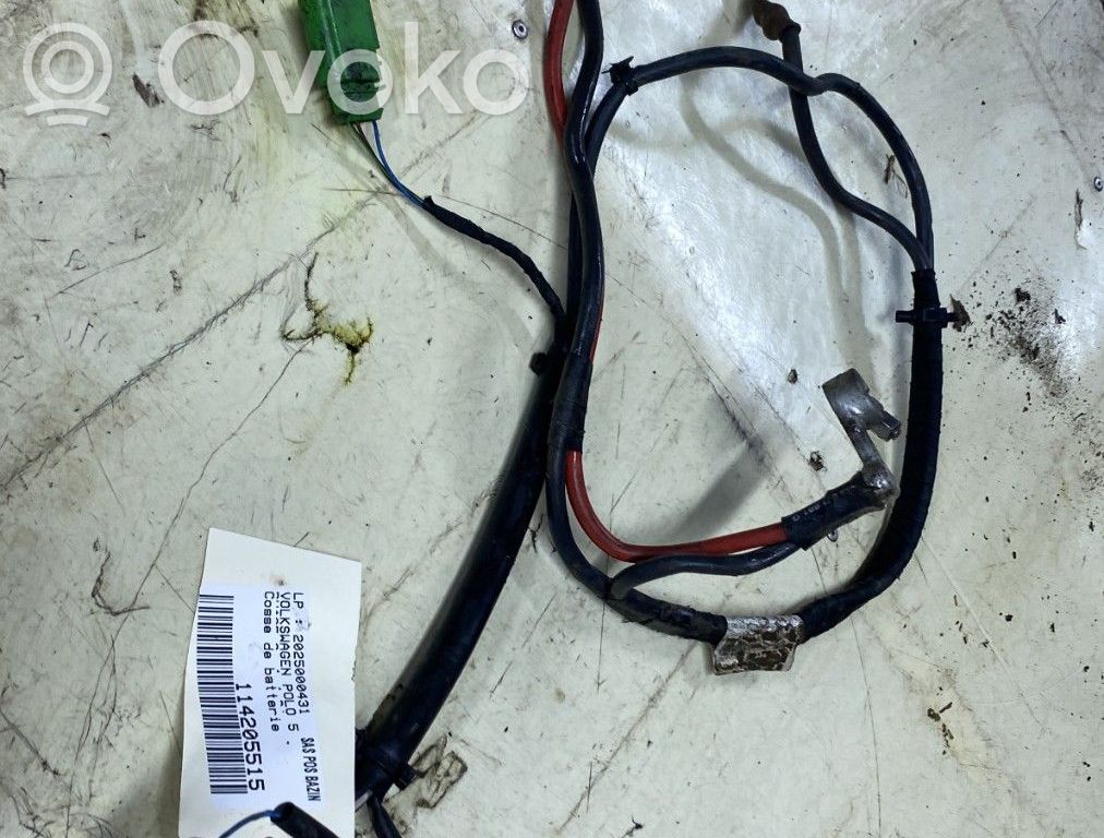 Minus / Klema / Przewód akumulatora   6C0971349B