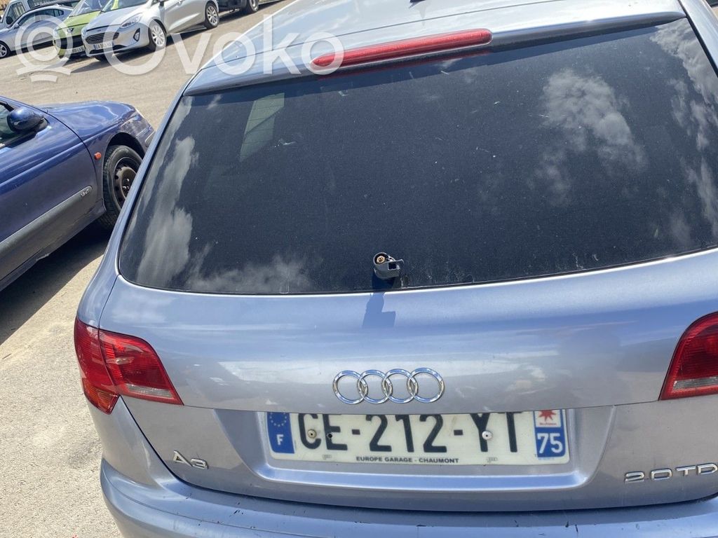 Audi A3 S3 A3 Sportback 8P Hayon/capotă portbagaj