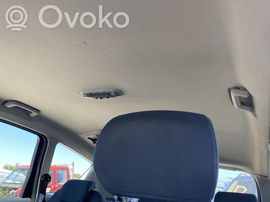 Ford S-MAX Потолок 