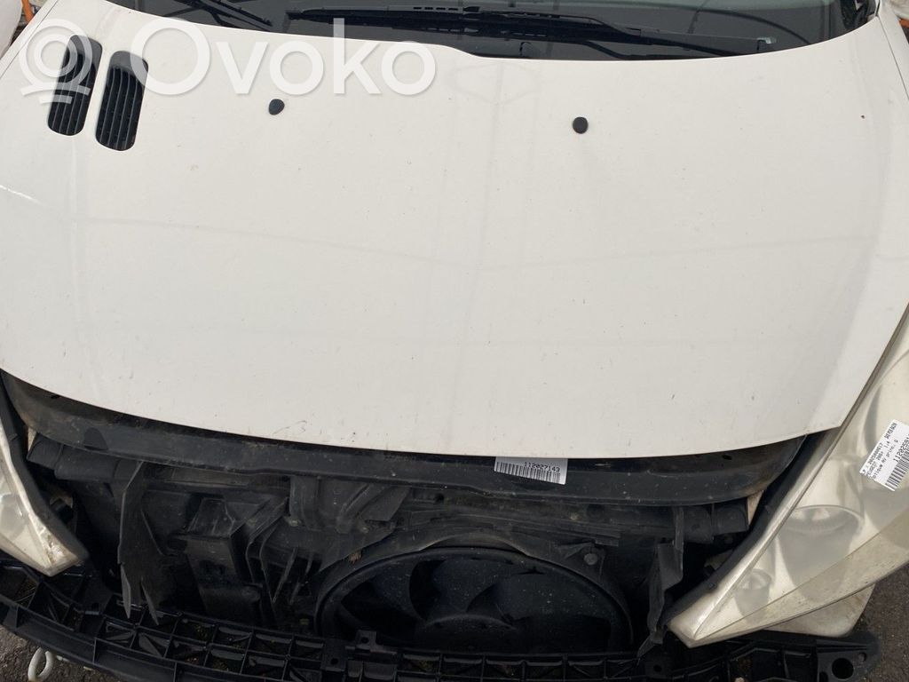 Peugeot 206+ Capotă motor 