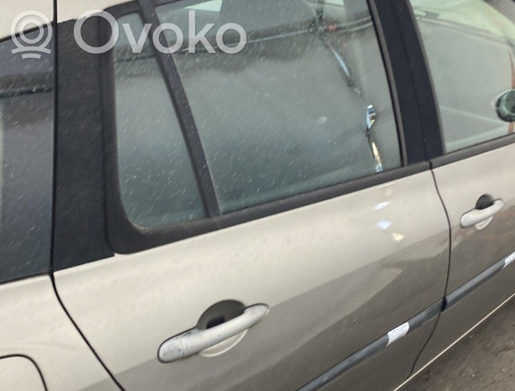 Renault Clio III Drzwi tylne 