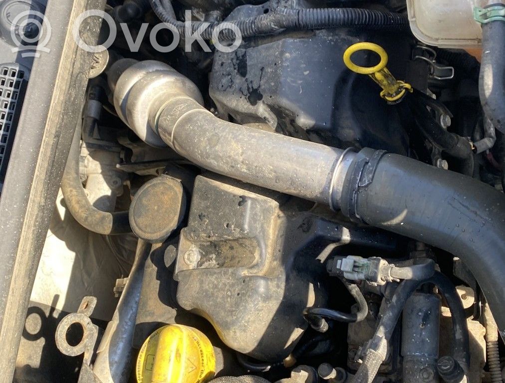 Motor   7701478775