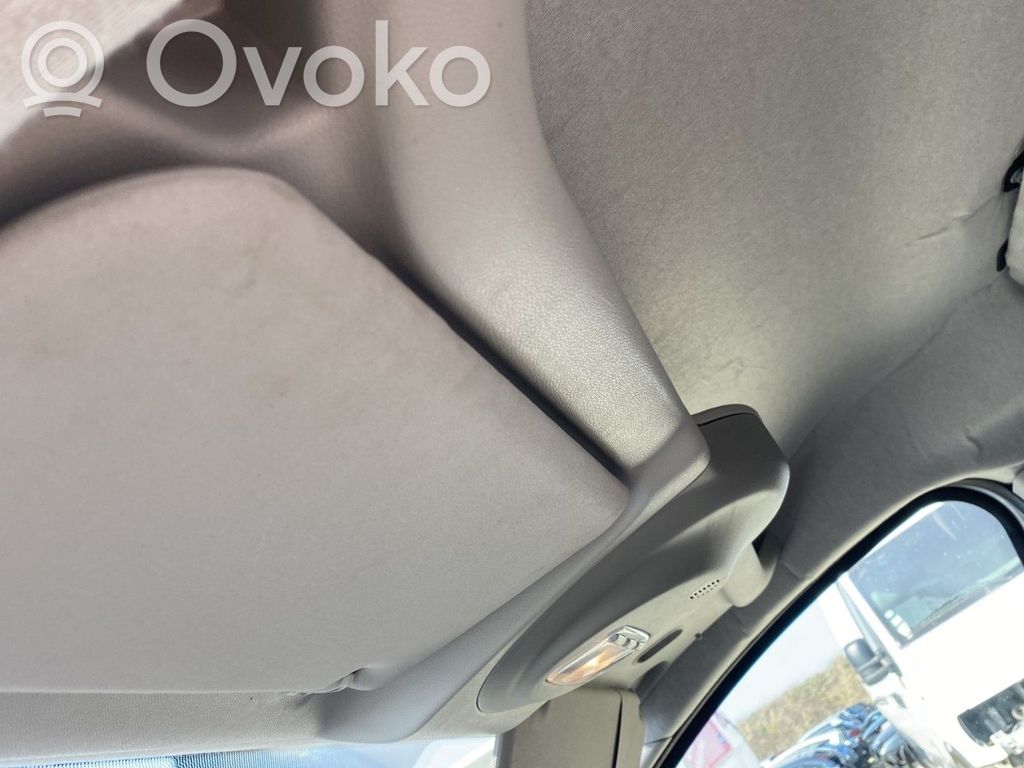 Citroen Berlingo Headlining 