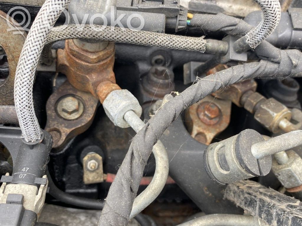 Ford S-MAX Sprausla (-i) 