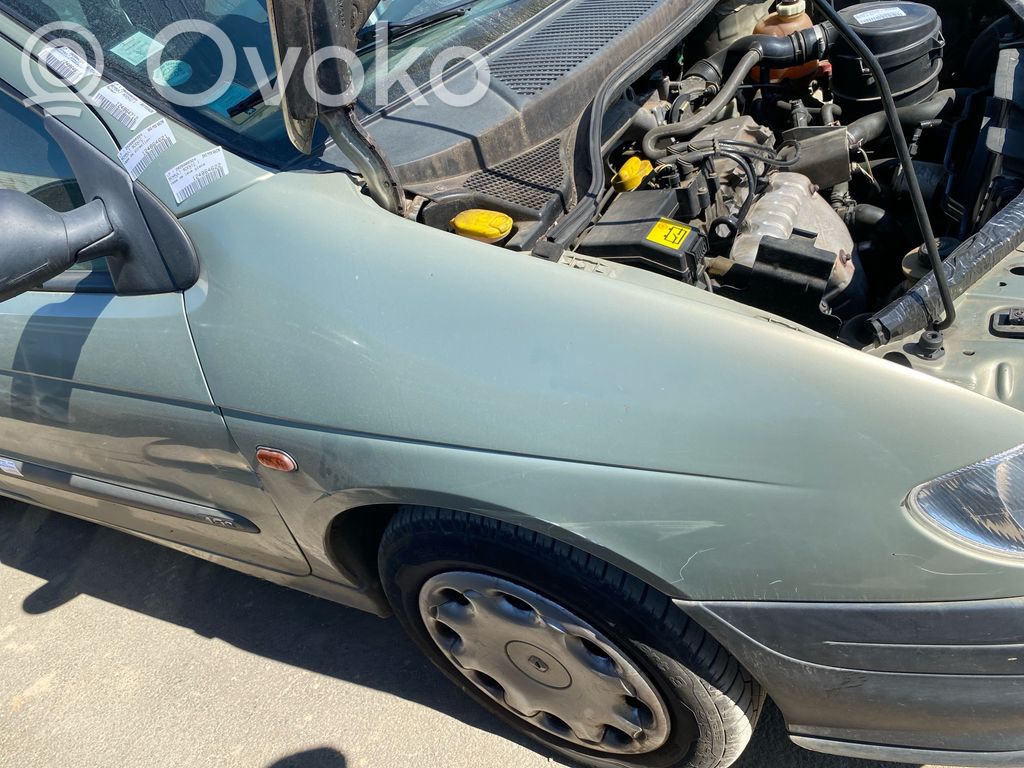 Renault Scenic I Guardabarro 