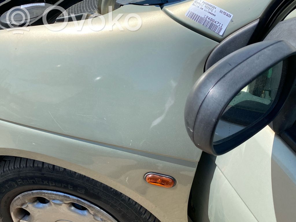 Renault Scenic I Spārns 