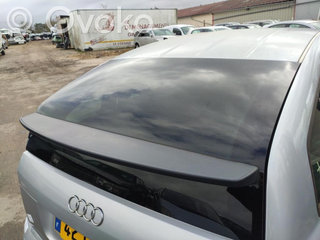 Tailgate/trunk/boot lid   8Z0827023D