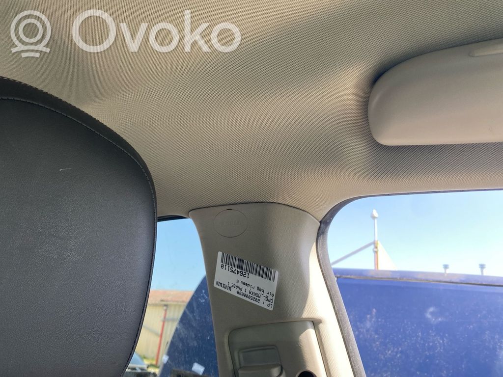 Airbag del techo   95327400
