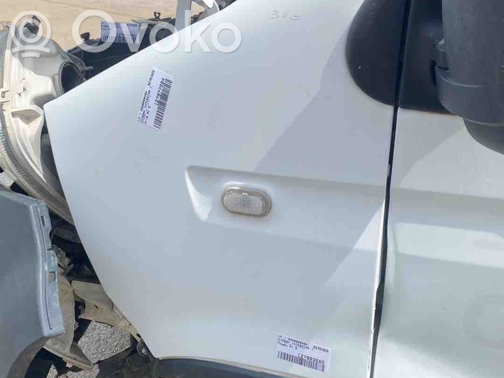 Nissan Interstar Aile 