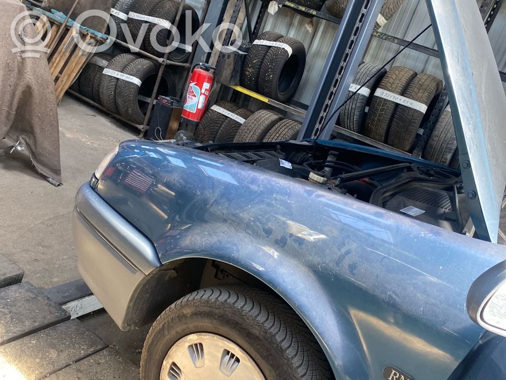 Renault 19 Fender 