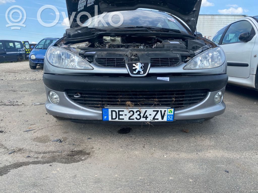 Peugeot 206 Paraurti anteriore