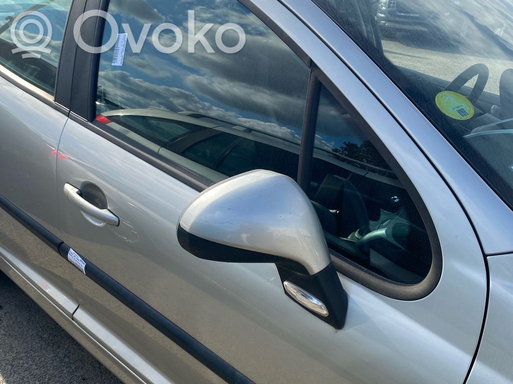 Peugeot 207 Tür vorne 