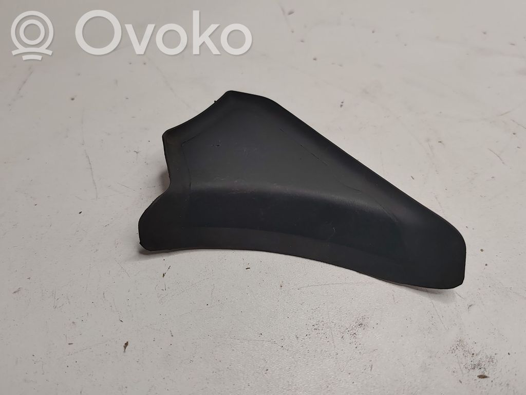 Dodge Charger Windshield trim 