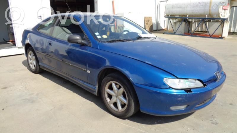Peugeot 406 Puerta delantera 