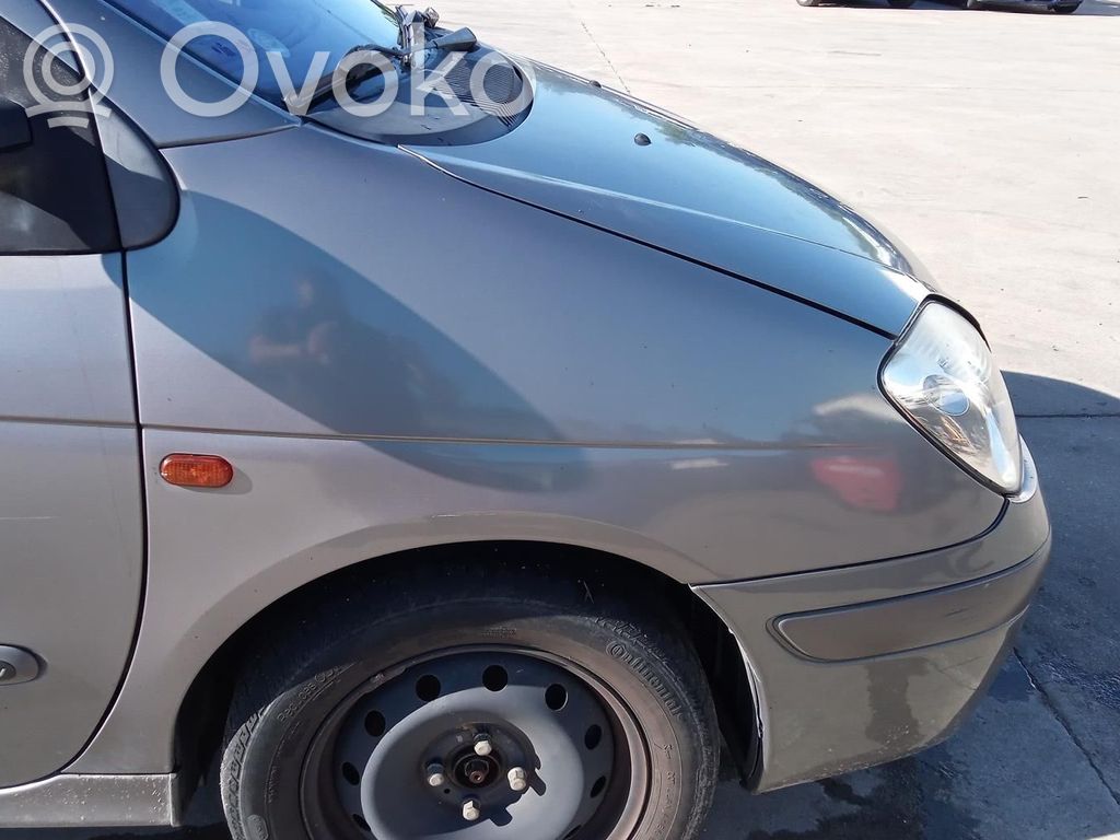 Renault Scenic I Lokasuoja 