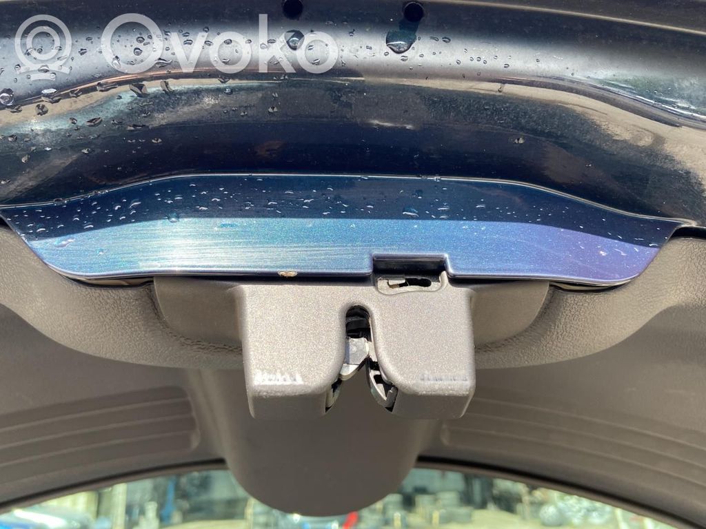 Tailgate/trunk/boot lock/catch/latch