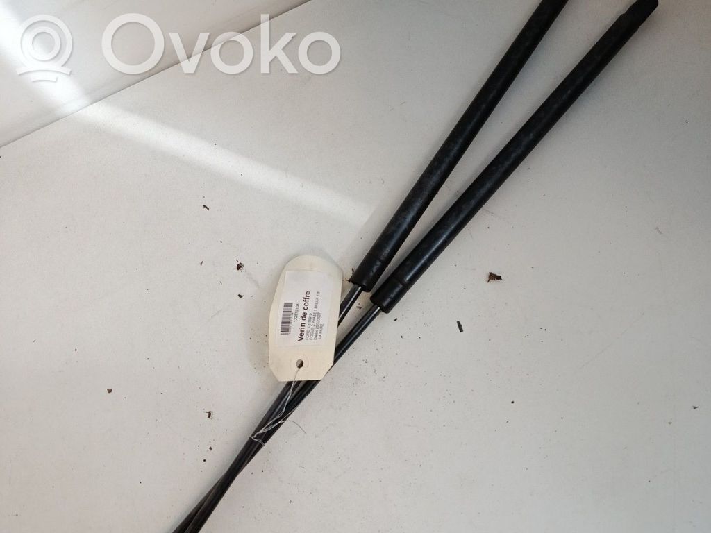 Tailgate/trunk strut/damper   1349309