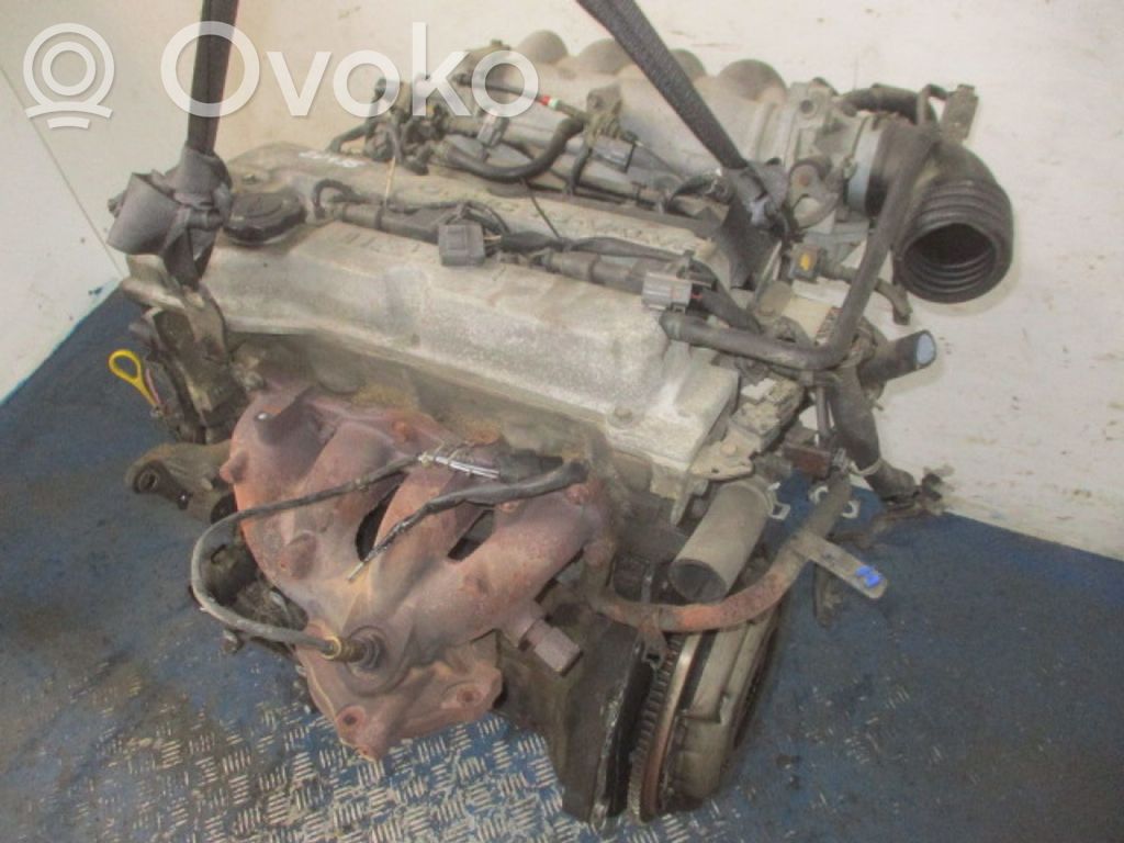 Motor