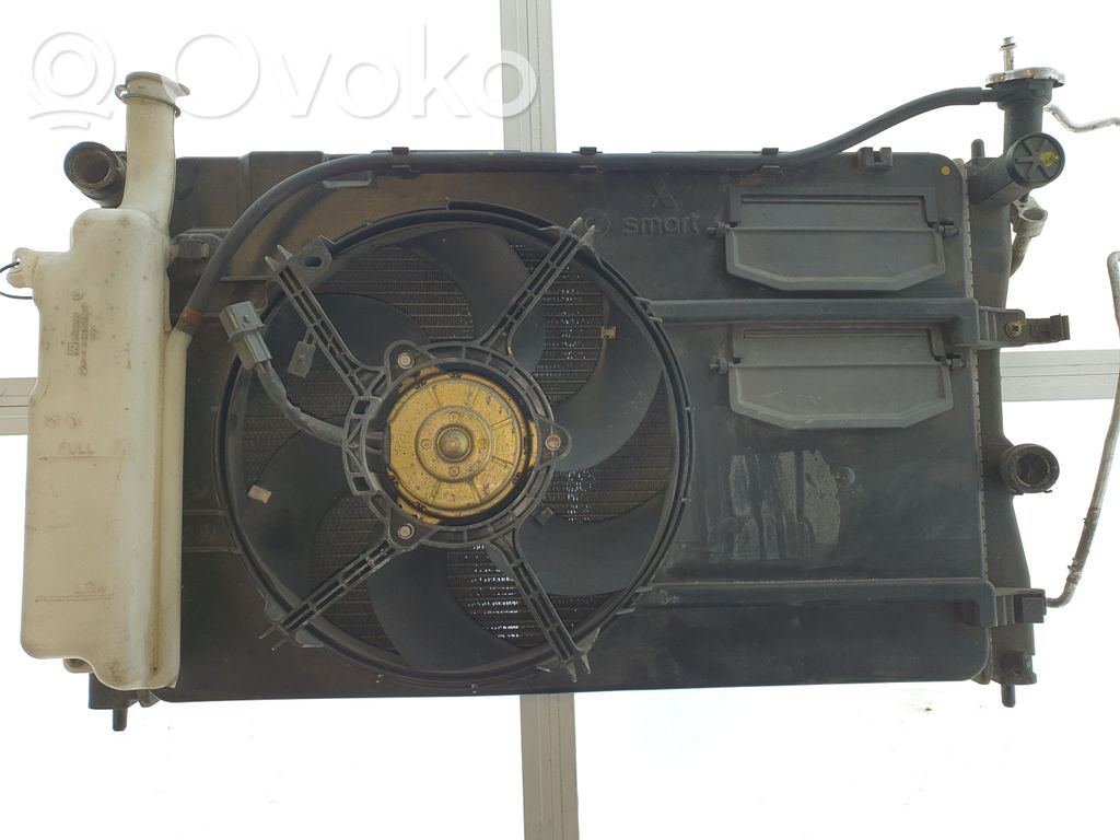 Radiatora komplekts   1350A066,A4545001503