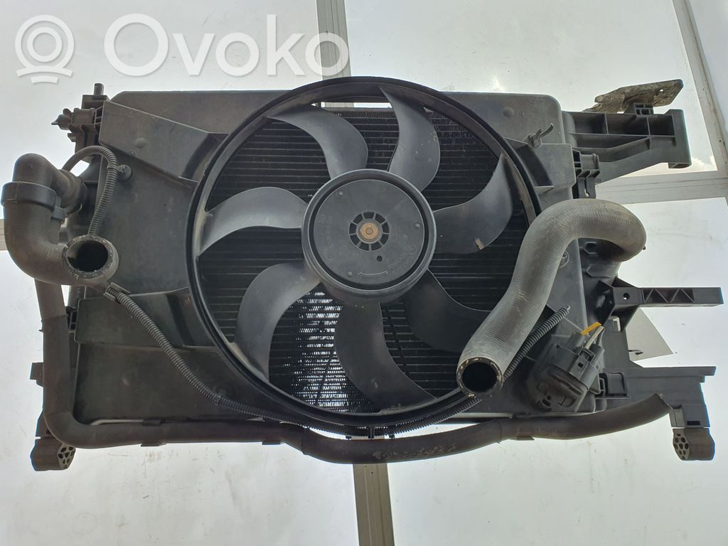 Radiator set   0130308403,13267648