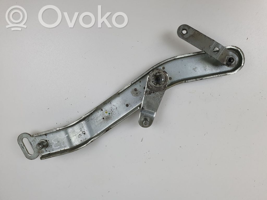 Volkswagen Phaeton Tailgate/trunk/boot hinge 