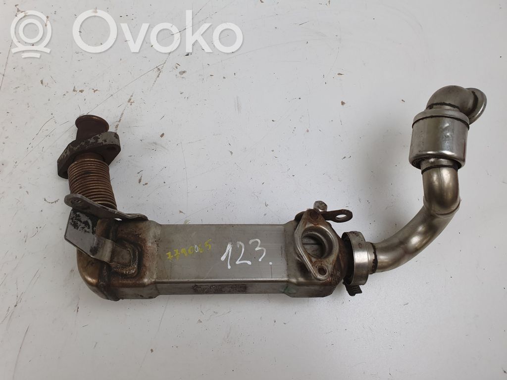EGR dzesētājs   7790065