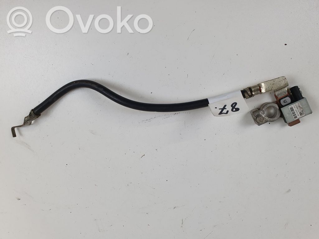 Minusinis laidas (akumuliatoriaus)   F1FT10C679CB