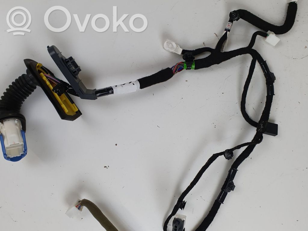 Front door wiring loom   GMC86720031