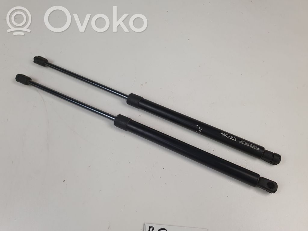 Tailgate/trunk strut/damper   871024230
