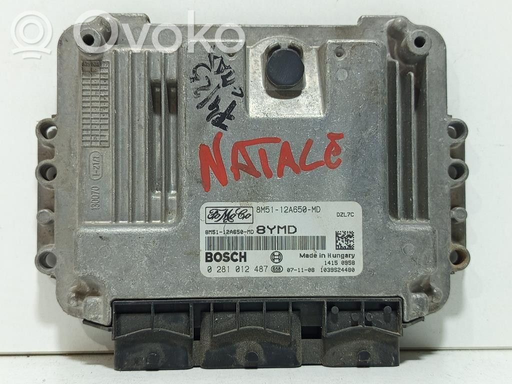 Ford C-MAX I Engine control unit/module 