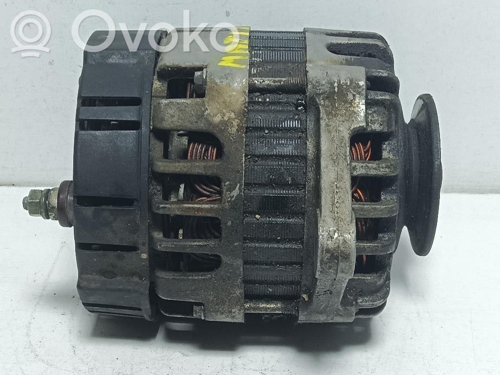 Generatore/alternatore   F8CV