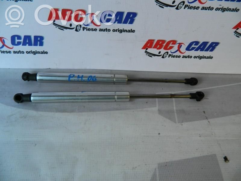 Volkswagen Phaeton Ammortizzatore portellone anteriore/cofano 