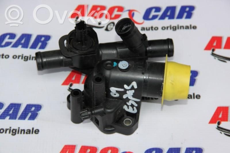 Thermostat   8200380898H