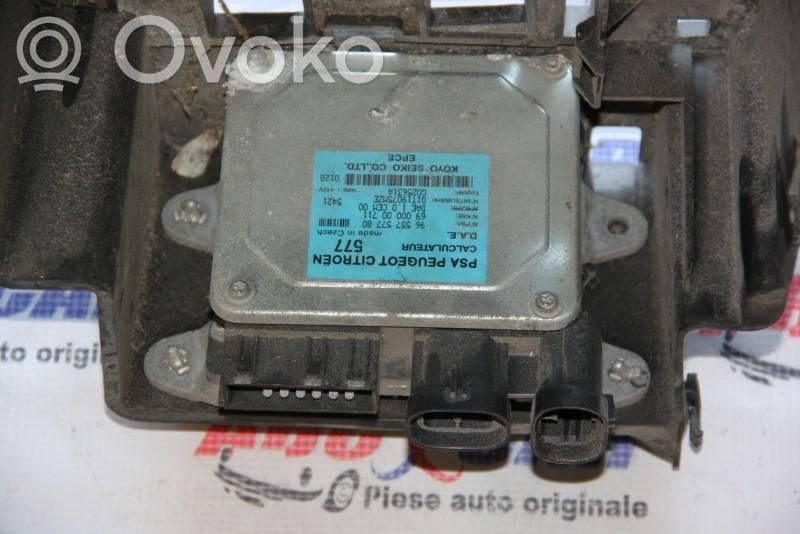 Alte unități/module de control   9655757780