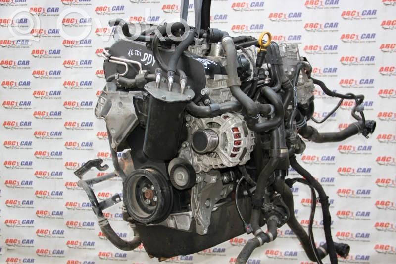 Motor   DDY