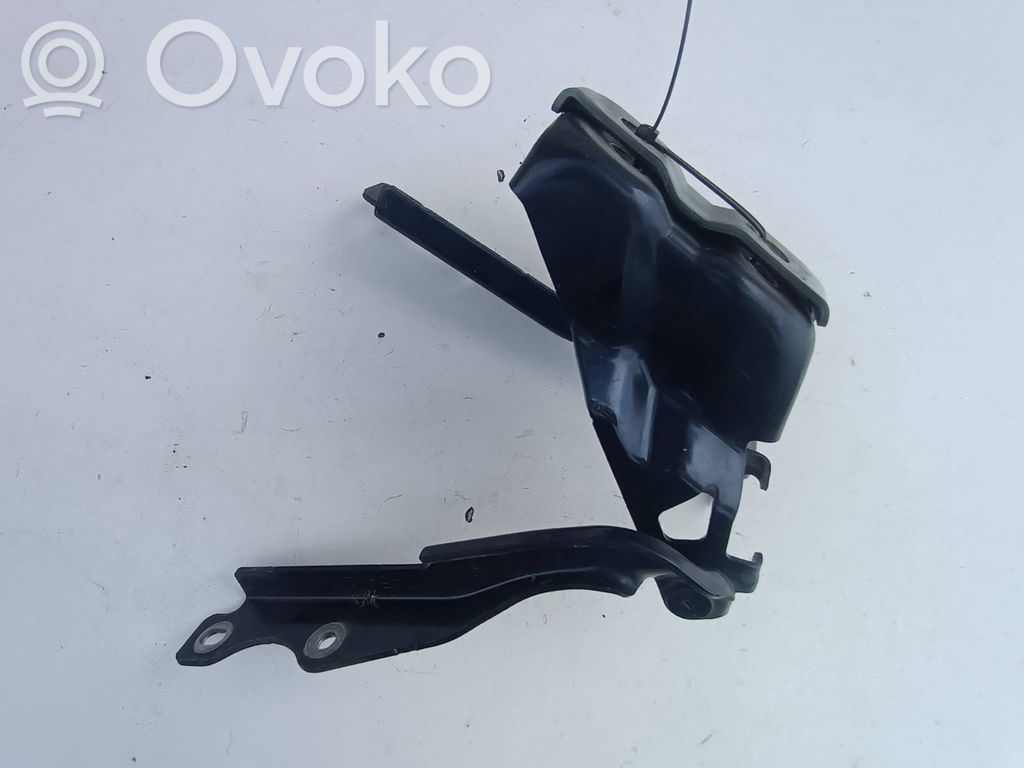 Engine bonnet/hood hinges