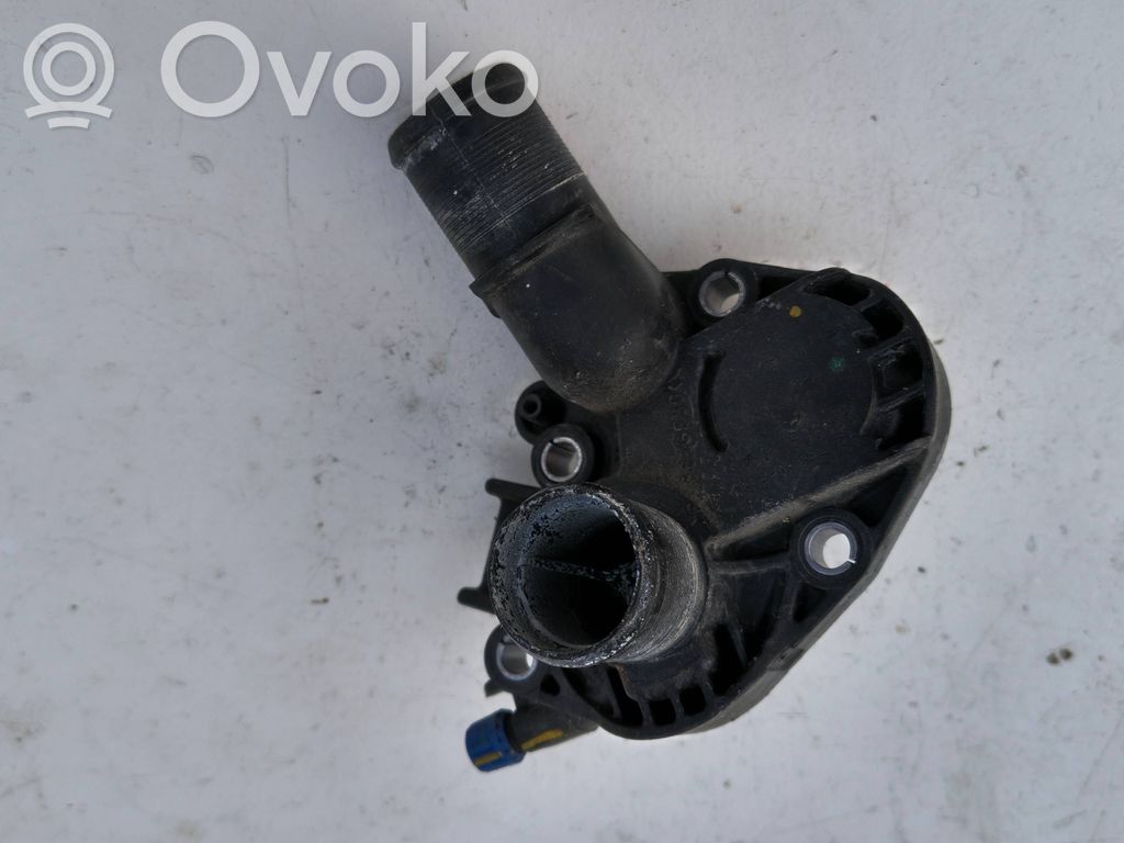 Thermostat   28996S