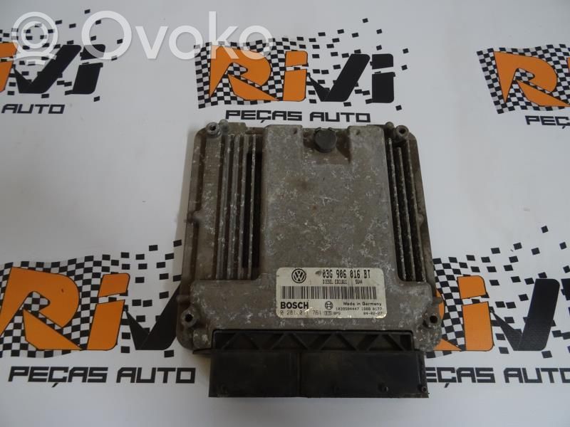 Engine control unit/module   CENTRALINA19TDI,0281011761,03G906016BT