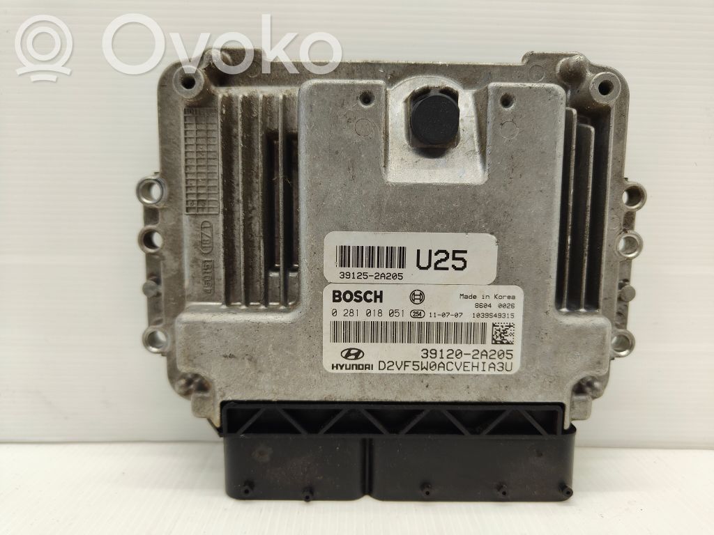 Engine control unit/module ECU   391202A205,391202A205,391252A205
