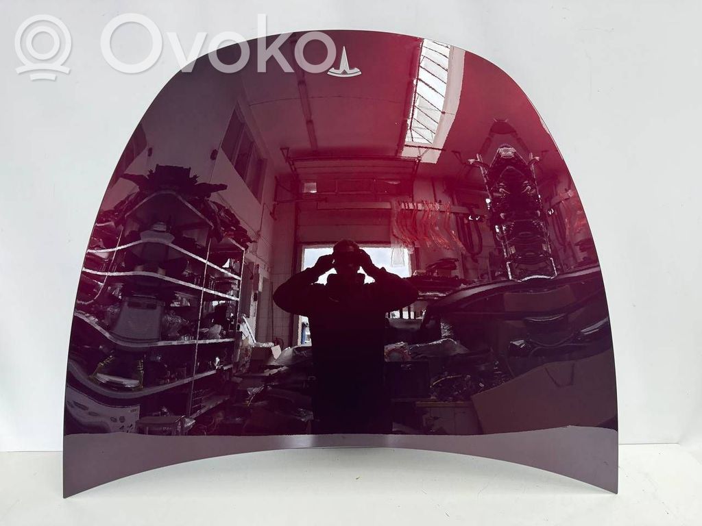 Tesla Model Y Engine bonnet/hood 