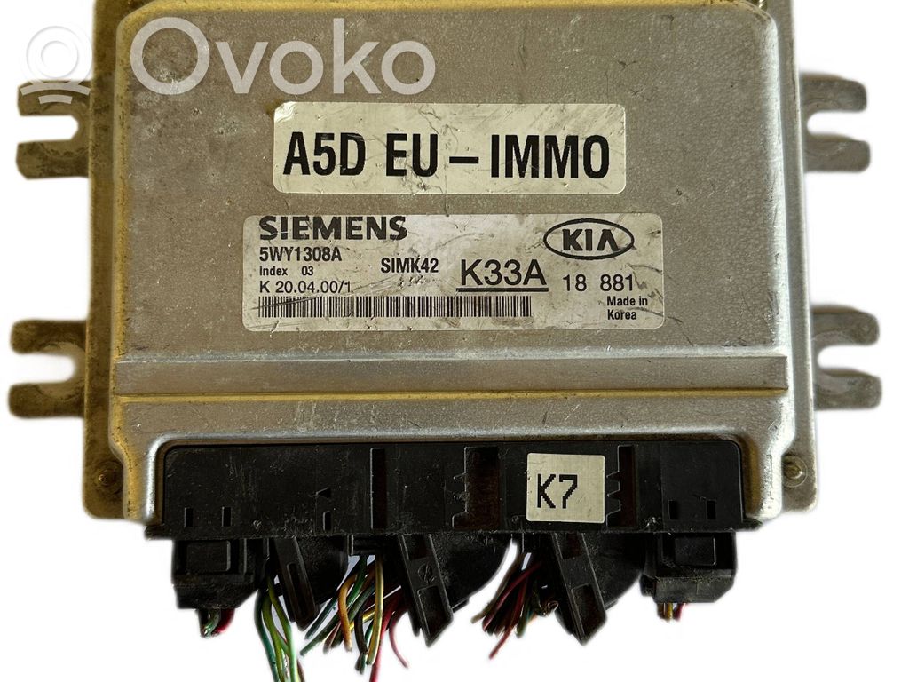 KIA Rio Engine control unit/module 