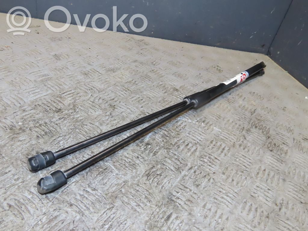 Tailgate/trunk strut/damper   39089133