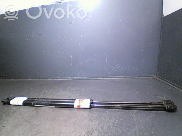 Tailgate/trunk strut/damper   1608899680