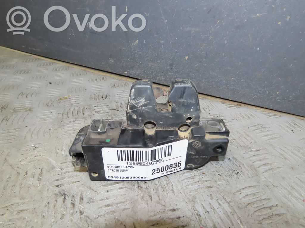 Tailgate/trunk/boot lock/catch/latch   8719E8