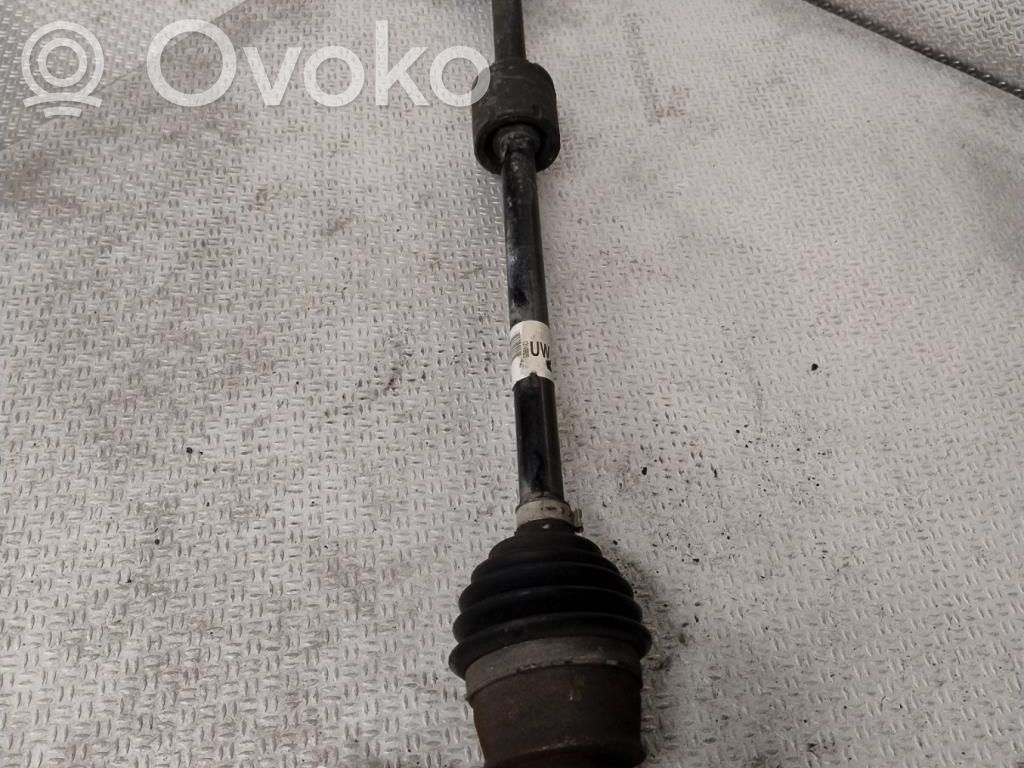 Priekšējā pusass   13149829