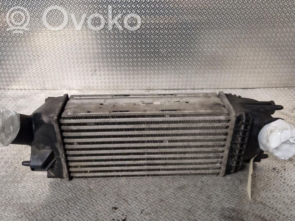 Interkūlerio radiatorius   00000384K8