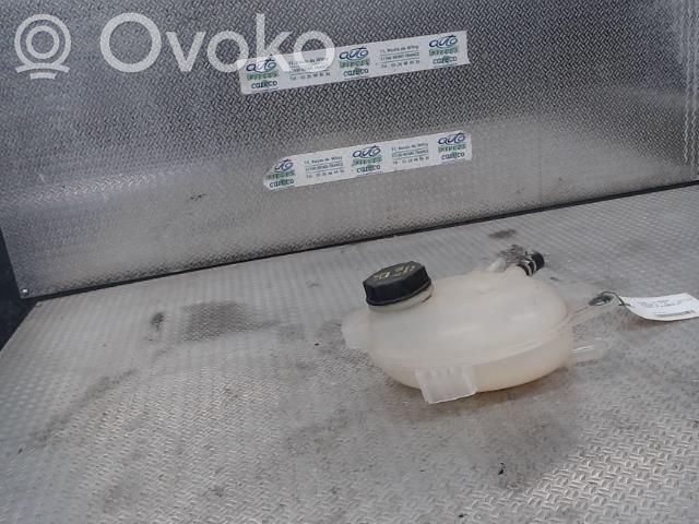 Ford Focus Aušinimo skysčio išsiplėtimo bakelis 