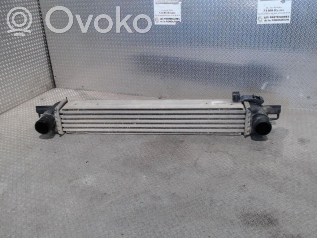 Intercooler radiator   00000384L7